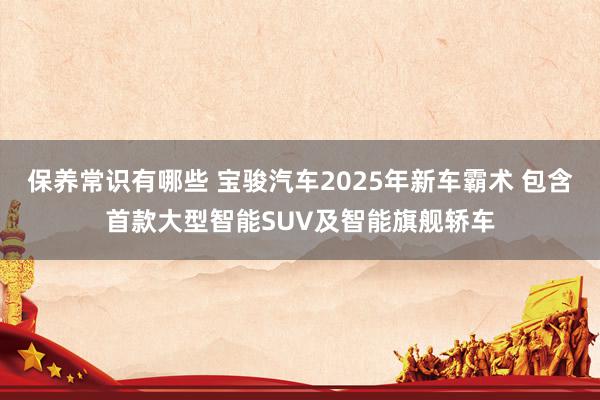 保养常识有哪些 宝骏汽车2025年新车霸术 包含首款大型智能SUV及智能旗舰轿车