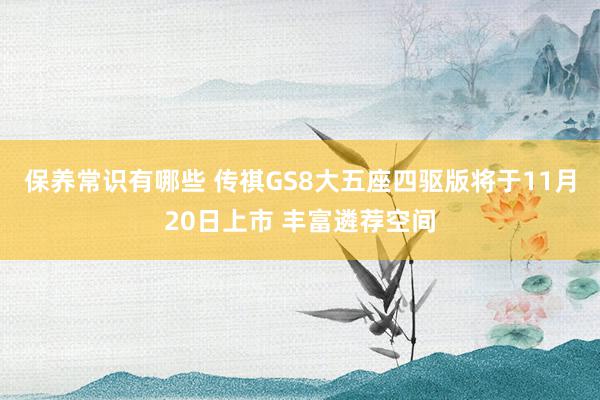 保养常识有哪些 传祺GS8大五座四驱版将于11月20日上市 丰富遴荐空间