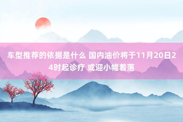 车型推荐的依据是什么 国内油价将于11月20日24时起诊疗 或迎小幅着落