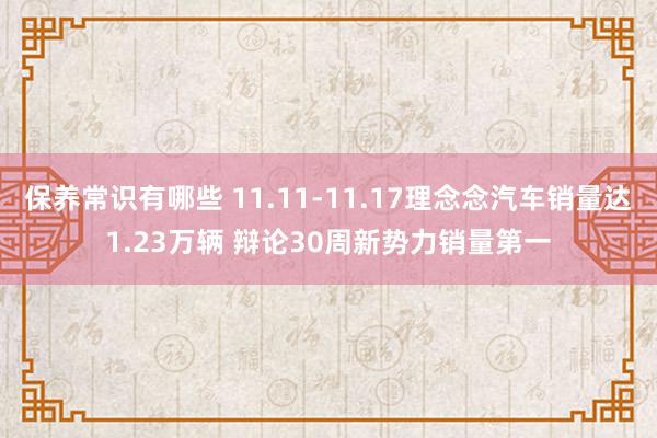 保养常识有哪些 11.11-11.17理念念汽车销量达1.23万辆 辩论30周新势力销量第一