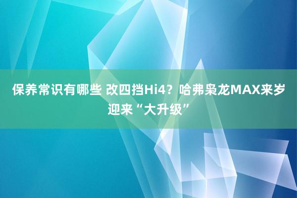 保养常识有哪些 改四挡Hi4？哈弗枭龙MAX来岁迎来“大升级”