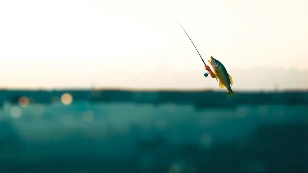 Pesca esportiva no Cerrado: o Araguaia em destaque em Goiás