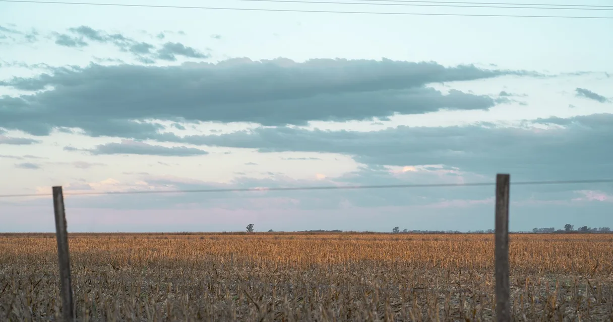 Campo de lavoura com cerca de arame em propriedade rural