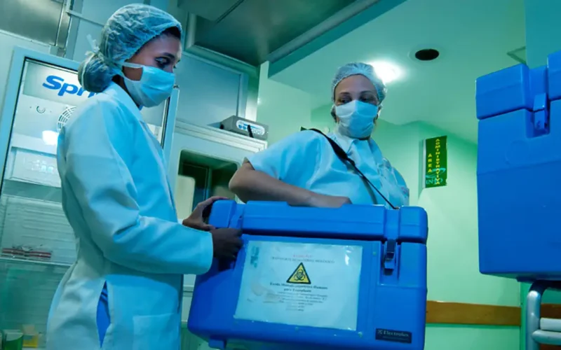 Recorde histórico: Brasil atinge 31 mil transplantes em 2025