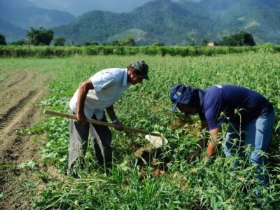 Senado aprova projeto que renegocia dívidas rurais com fundo do pré-sal