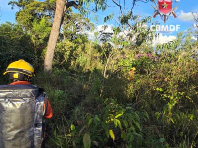 Bombeiros resgatam homem ferido em área rural de Brazlândia