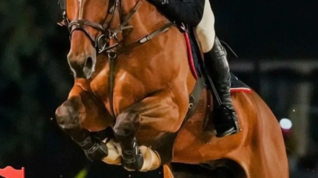 Candangão 2026: Hipismo brasiliense se prepara para grande evento